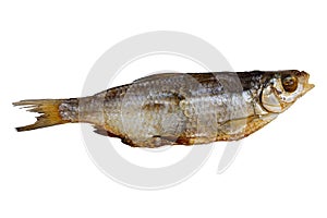 Dried roach isolated on a white background. Dried fish, preservation and preservation