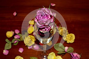 Dried rose buds in glass centerpiece