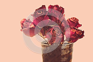 Dried rose