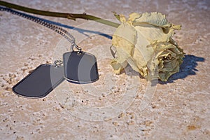 Dried rose with military dog tags on stone