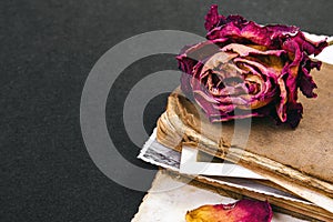 Dried rose, old book and empty photograph as a romance metaphor