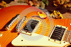 Dried rose petal on vintage electric guitar close up.