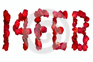 Dried rose petals spelling out, 14 Feb