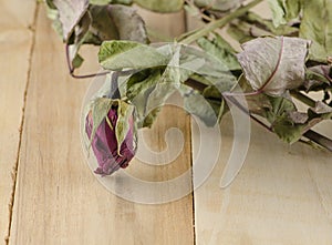 Dried rose on table