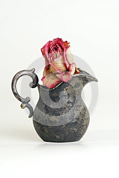 Dried rose in a vintage jug