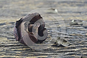 Dried Rose on wooden background, broken heart concept