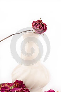 dried rosed in a jar on a white background