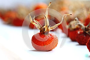 Dried rosehips