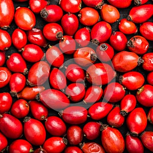 Dried rosehips background, powerful antioxidant with high content of vitamin photo