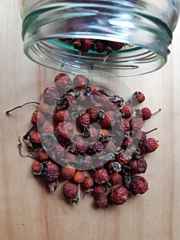 Dried rosehips. Wild edibles vitamin c rich canada rosehips. Natural harvested late fall rosehip rose plant photo