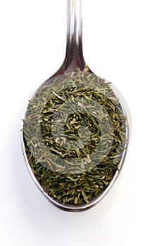 Dried rosemary on spoon - studio shot
