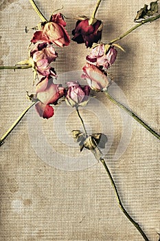 Dried Roses Frame