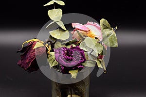 Dried Roses with Green Leaves on Black