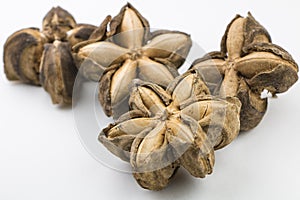 Dried Sacha Inchi