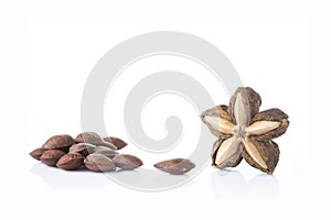 Dried Sacha Inchi raw seed nuts on white table and background