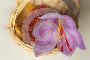 Dried saffron spice in small basket and saffronÂ´s flower