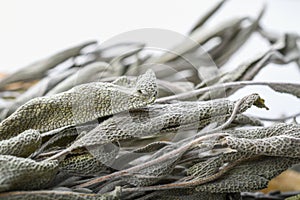 Dried sage branches, sage hot tea, on a piece of natural wood, natural remedies, natural medicine