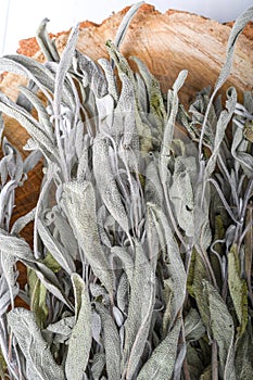 Dried sage branches, sage hot tea, on a piece of natural wood, natural remedies, natural medicine