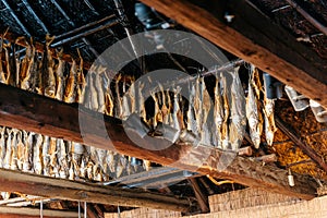 Dried salmons inside house of Shiraoi Ainu Village Museum in Hokkaido, Japan