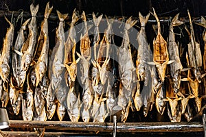 Dried salmons inside house of Shiraoi Ainu Village Museum in Hokkaido, Japan