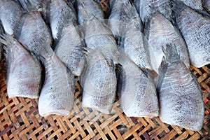 Dried salted damsel fish for sale in the market