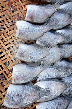 Dried salted damsel fish for sale in the market