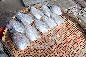 Dried salted damsel fish for sale in the market