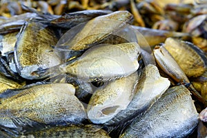 Dried salted damsel fish,Trichogaster pectoralis .