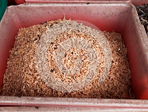 Dried or salted dried shrimps in a red basket, preserved food