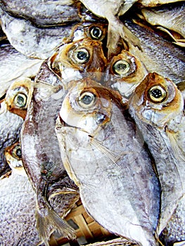 Dried salted fish photo