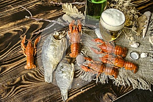 Dried salted fish and beer with foam in glass and with boiled red crayfish on canvas