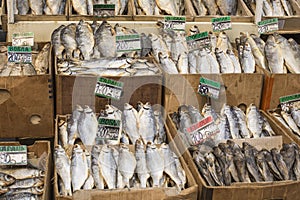 Dried salted fish at a farmers market in Odessa, Ukraine.