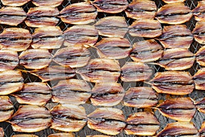 Dried salted fish on the rack ready for sale photo