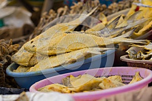dried and salted hilsa fish being sold in the fish markets of bangladesh