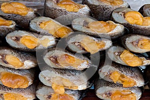 Dried Salted Snakeskin fish with spawn