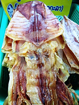 Dried Salted Squid
