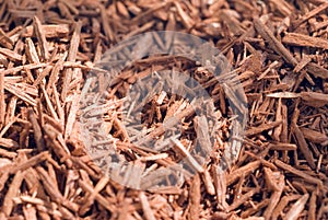 Dried sandalwood