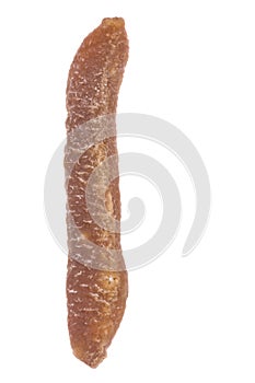 Dried Sea Cucumber Isolated