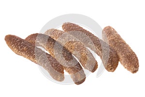 Dried Sea Cucumbers Isolated