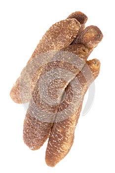 Dried Sea Cucumbers Isolated photo