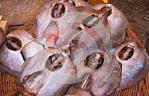 Dried sea fish in the fish market