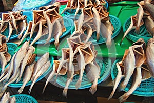 Dried sea fish in the fish market