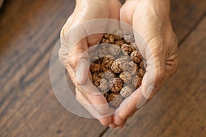 Dried seed herb, Amomum villosum Lour. Bustard cardamom, Tavoy cardamom,Zingiberaceae, Thai Asian dry herbal alternative medicine