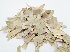 Dried Senna Alexandrina also called daun jati tiongkok, daun jati china leaves with white background. This leaves usually used a