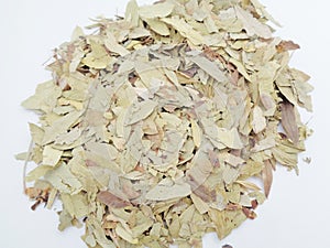 Dried Senna Alexandrina also called daun jati tiongkok, daun jati china leaves with white background. This leaves usually used a