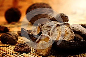 Dried Shiitake Mushroom on mat earth tone