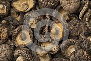 Dried shiitake mushrooms