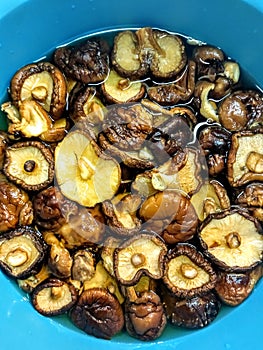 Dried shiitake mushrooms soak in water