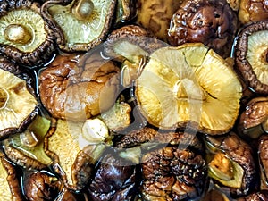 Dried shiitake mushrooms soak in water