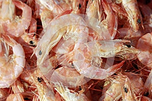 Dried shrimp